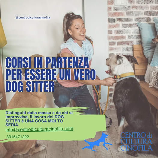 Corso dog sitter
